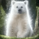 Kermode