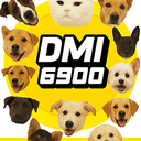 DMI6900