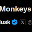 Monkeys