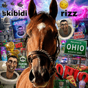 SkibidiRiz