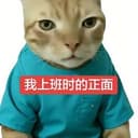 上班小猫