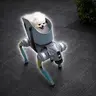 robodog