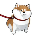 KYOHI