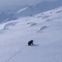 Ursa