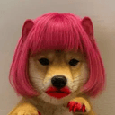 transinu