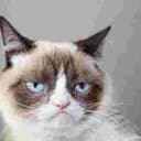 grumpycat