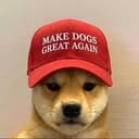 MDGA