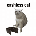 CASHLESSCAT