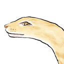 cet
