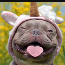 UNIPUG
