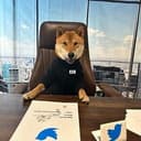 DOGE