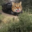 traincat