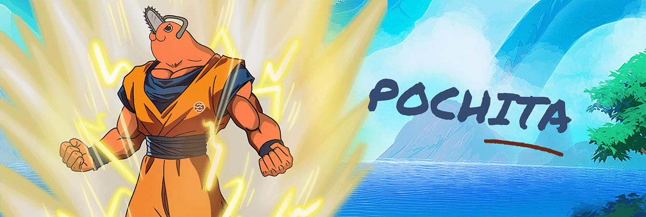 POCHITA Banner
