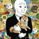 SHITCOINER
