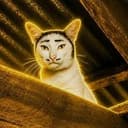 Mr Kitty