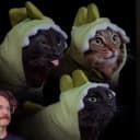 DINOCATS