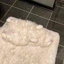 rugcat