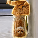 ʇɐɔ