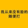 我从来没有脸的 随便打