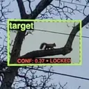 SQUIRREL