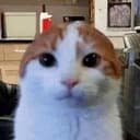 LUI