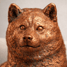COPPERDOGE