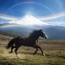HORSES