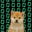 rtDOG