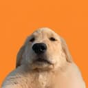 Bro