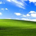 Grass