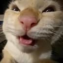 MUHEHEHE