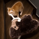Diego the cat