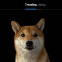#dog