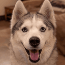 Meeka