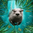 REAL
