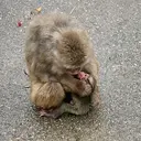 キック