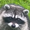 DANNY