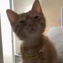 SIMBA