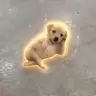 CHILLDOG