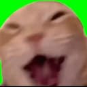 Laughing