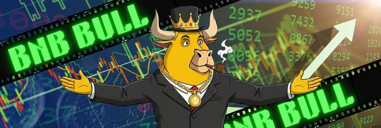 BNB Bull Banner