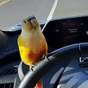 MANGO⁠