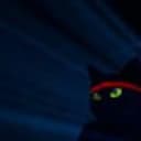 ninjacat