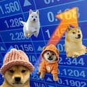NASDOG