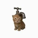 faucat