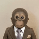 ape