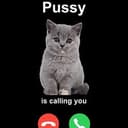 pussy