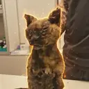 Artemis
