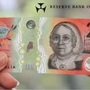 $20