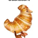 QUACKSSANT